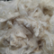 Υψηλές μη συνεχείς ίνες Aramid αντίστασης γδαρσίματος για τη βιομηχανική χρήση